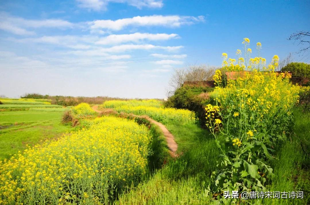 陌上花开什么意思（陌上花开一定是爱情吗）-5