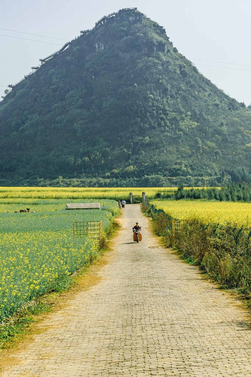 最适合居住的城市排名（青岛真的已经不适合人居了）-27