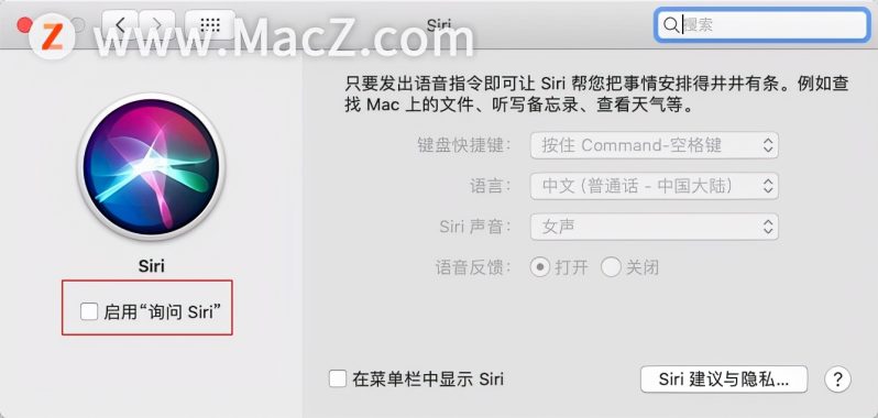怎么打开siri（如何在Mac上开启和关闭siri）-2