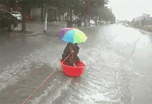 河北，致敬来宾与友人