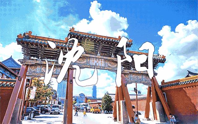 沈阳美食攻略，学习烹饪东北美食的详细步骤指南