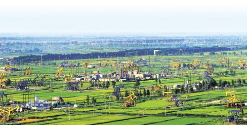 盘锦,湿地之都,自然与人文的和谐交响之旅