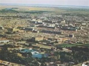 白城巷弄深处的味觉盛宴